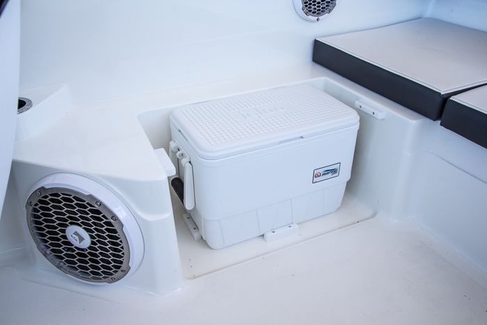 Sea Ray 21 SPX cooler