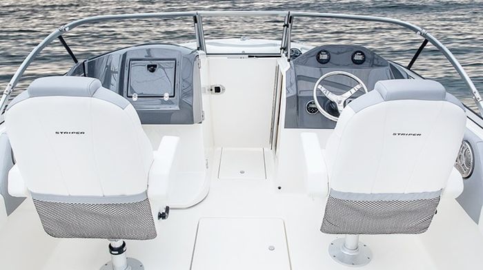 Striper PP 768x43017