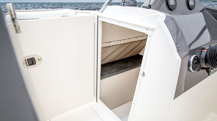 Striper PP 768x4302