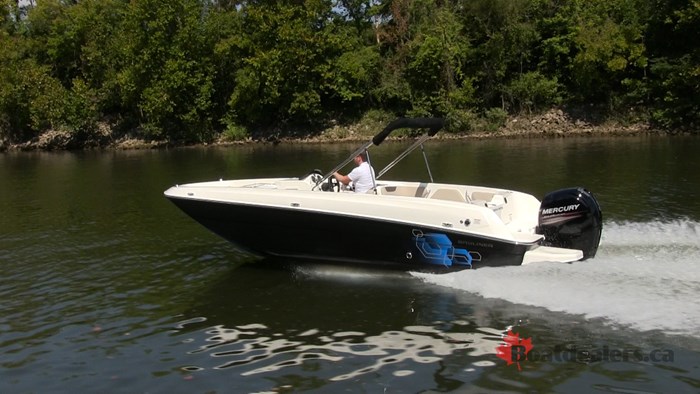 2017 Bayliner Element E21 Bowrider Boat Review Boatdealers Ca