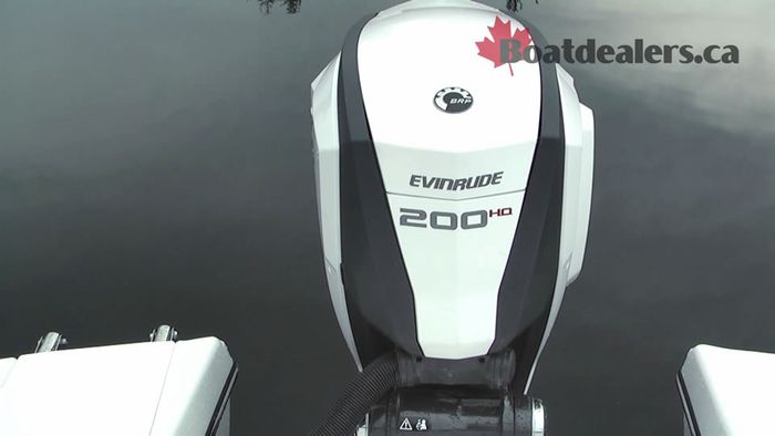 rinker-qx19-evinrude