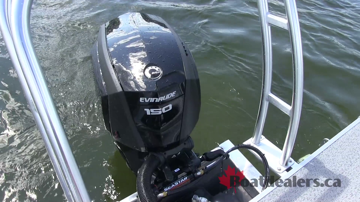 starcraft-ex-22r-evinrude