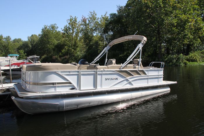 sylvan l3 party fish  (1)