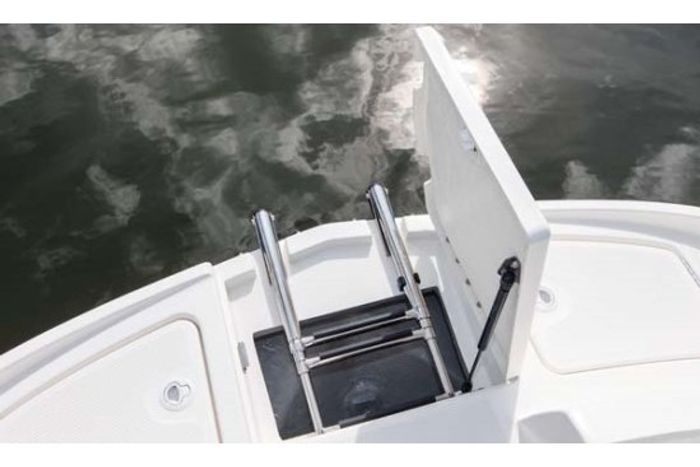 bayliner 190 deck boat ladder
