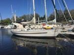 1980 CUSTOM BUILT Harlinger Jactbouw Cumulant 38