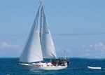 1981 Niagara 35 MkI Sloop