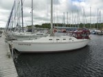 1981 CS 36