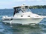 1998 Proline 2610 Walkaround