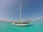 1995 CUSTOM CARTWRIGHT Steel Hybrid Pilothouse Cutter