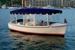 2009 Duffy Electric Boat Co 18 snug harbor