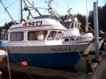 1981 Commercial Fishing Boat - Longliner Seiner