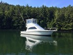 2001 Luhrs 34 Convertible