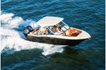 2018 Scout 255 Dorado