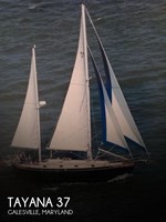 1988 Tayana