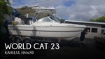 2017 World Cat