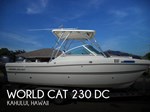 2017 World Cat