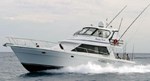 2002 Salthouse Brothers Flybridge Sportfisher
