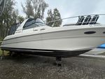 Sea Ray 1999 Sundancer 310