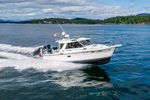 Cutwater 2019 C-28 LE