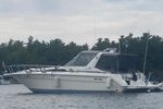 Sea Ray 1990 350 Sundancer