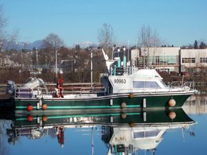 1978 Canoe Cove Packer / Tender