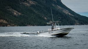 Boston Whaler 210 Montauk 2016
