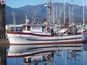 Doric Boatworks 1980