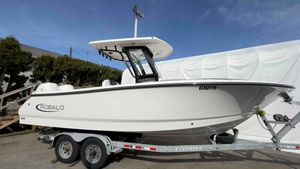 2025 Robalo R250