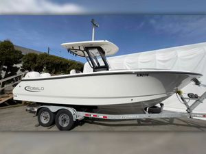 2025 Robalo R250