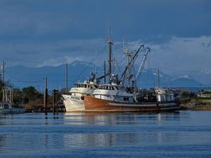 John Manly Seiner, Tuna 1959