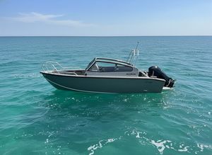 Alukin DP 650 2023