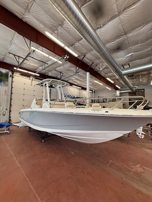 2025 Boston Whaler 250 Dauntless