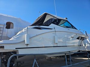2023 Sea Ray 320 Sundancer for sale in Belleville, ON, photo 6