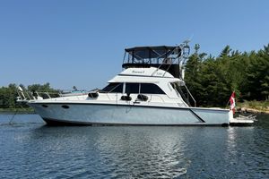 1989 Trojan 14 Meter Convertible