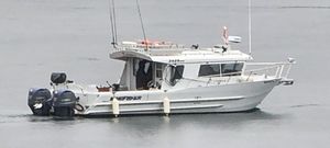 KINGFISHER 3425 GFX 2021