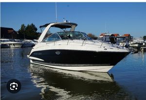 2020 Monterey 295sy