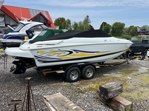 2007 Baja 245 Performance Cruiser