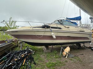 1989 Sea Ray 250 DA