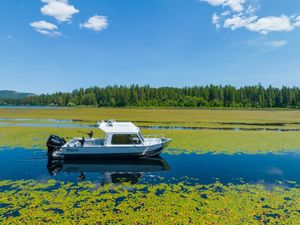 2025 Raider 21 Delta