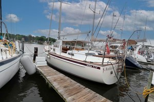 2006 Vilm 117