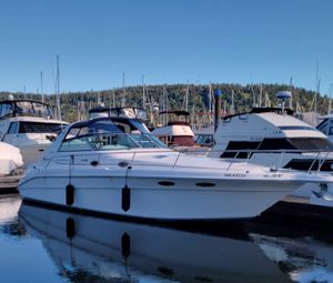 1996 Sea Ray 330