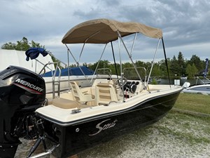 2026 Scout 175 Sport Dorado