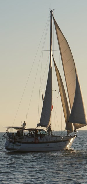 1981 Maple Leaf Centre Cockpit Cutter
