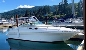 1999 Sea Ray 270 DA Sundancer