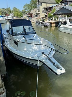 Bayliner Trophy 1996