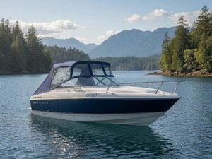 2005 Bayliner 210 Discovery