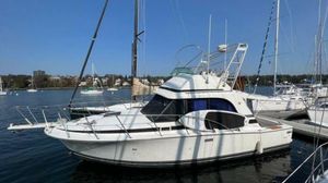 1987 Bertram 33