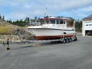 2020 Nord Star 31 Plus