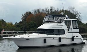 1999 Carver 356
