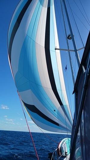 2008 Jenneau SunOdyssey 45 DS